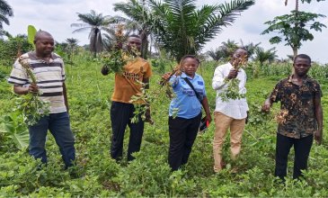 Projet Clubs de fermiers et Développement local du Sud Ubangi: Album photos