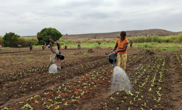 ‘ LES GROUPES D’ACTION DE FAMILLES, UNE VOIE VERS UNE NUTRITION DURABLE’