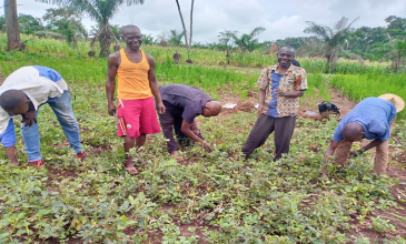 La mise en œuvre de nouvelles techniques culturales, est la clé de l’augmentation de la production agricole