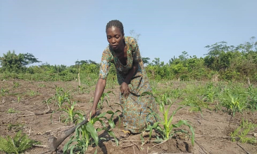 CF Kasaï : comment l'agriculture intelligente a réveillé le potentiel endormi des sols