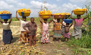 COMMUNIQUÉ DE PRESSE: Projet Clubs de Fermiers : le PNDA et HPP-Congo boostent l'agriculture pour combattre l’insécurité alimentaire dans la province du Kasaï