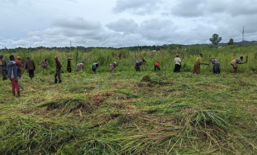 Action de la nutrition au Sud-Kivu et au Tanganyika en marche