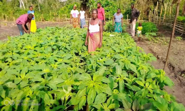 Les clubs de fermiers Dongo produisent déjà les fruits.