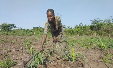 CF Kasaï : comment l'agriculture intelligente a réveillé le potentiel endormi des sols