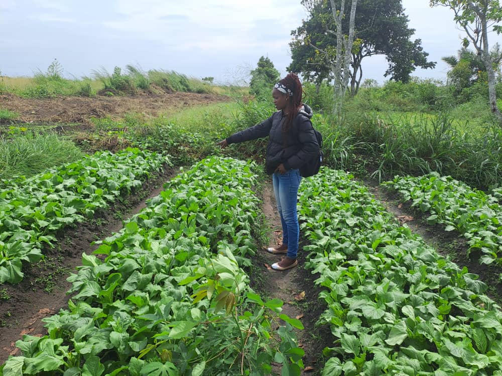 Jardin de démonstration de lOP LIA BOMBA au village PARA plateau de BATEKE Copie
