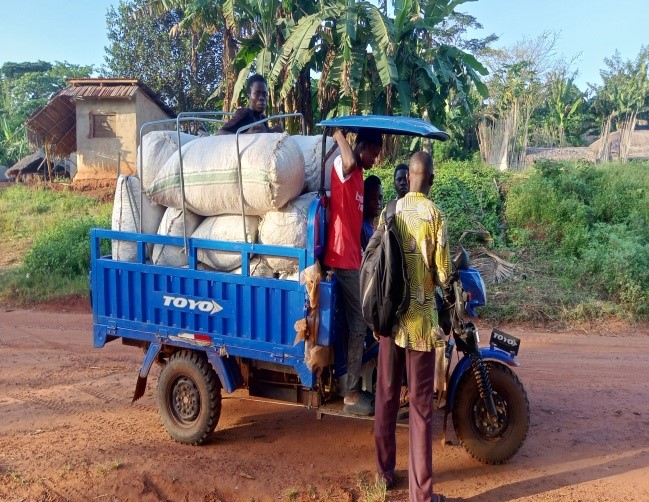 6 Tricycle