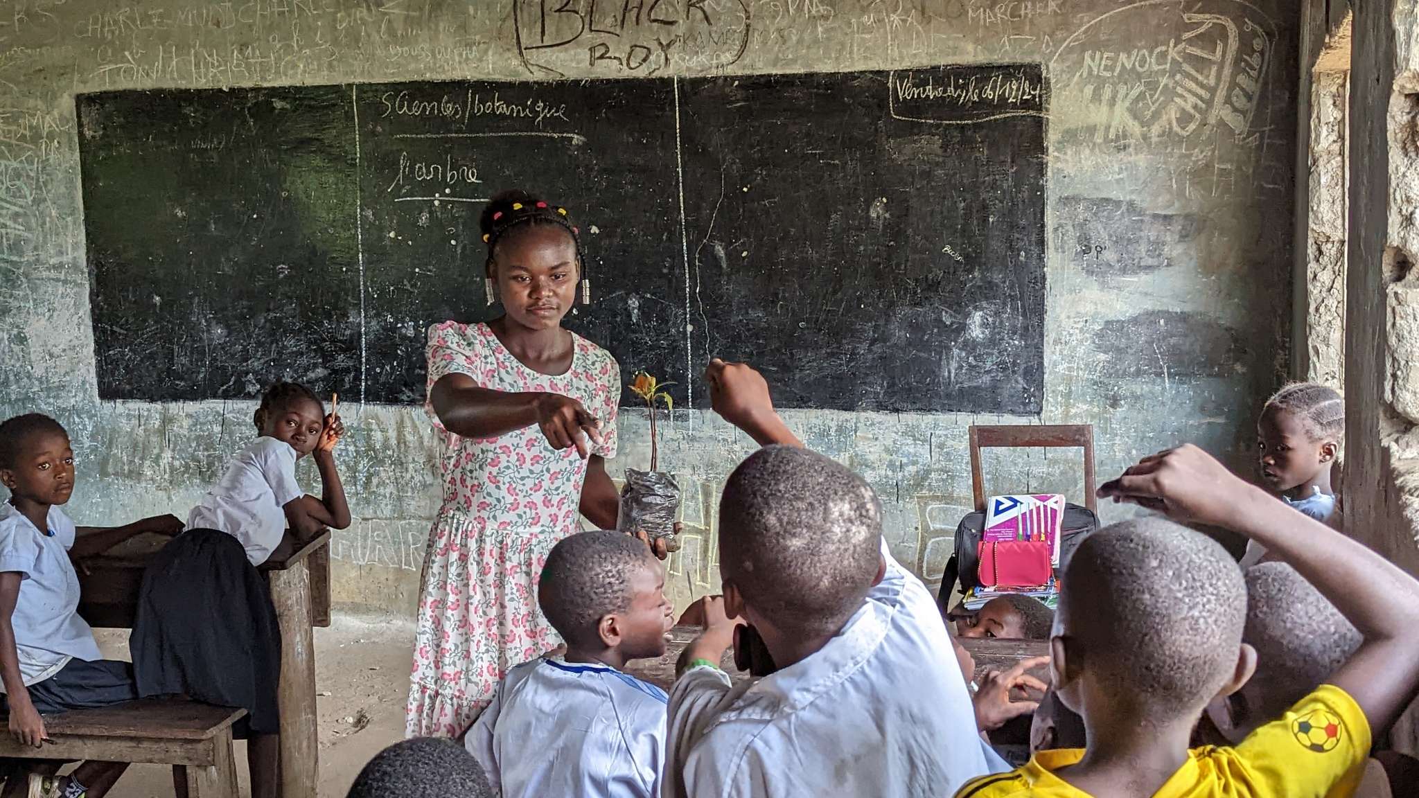 Teaching the importance of trees